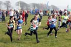 Green start North East Harrier League, Prudhoe, Northumberland.